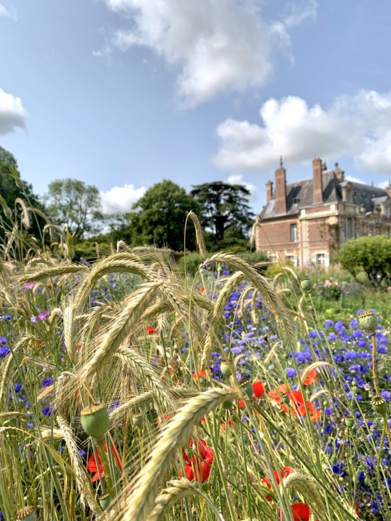 Jardin de Miromesnil