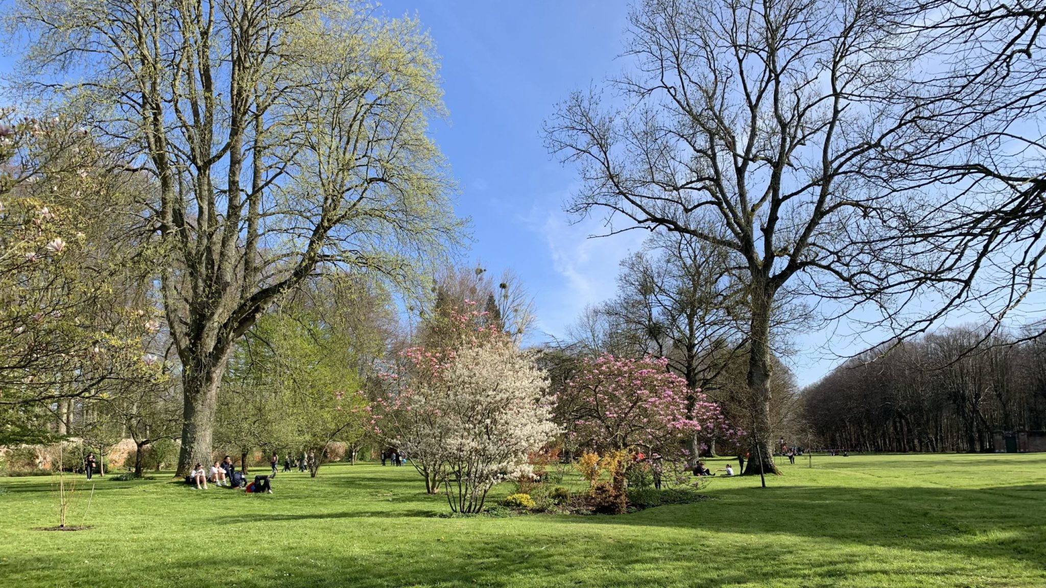 Parc du Château de Miromesnil